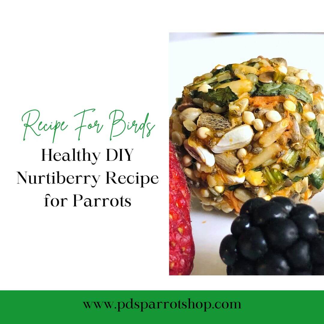 Healthy DIY Nurtiberry Recipe for Parrots – PDS Parrot Shop