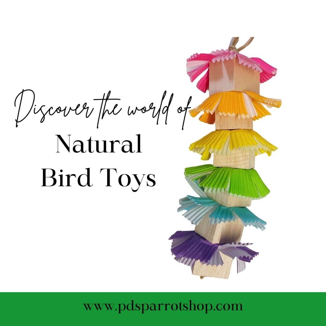 Natural Bird Toys