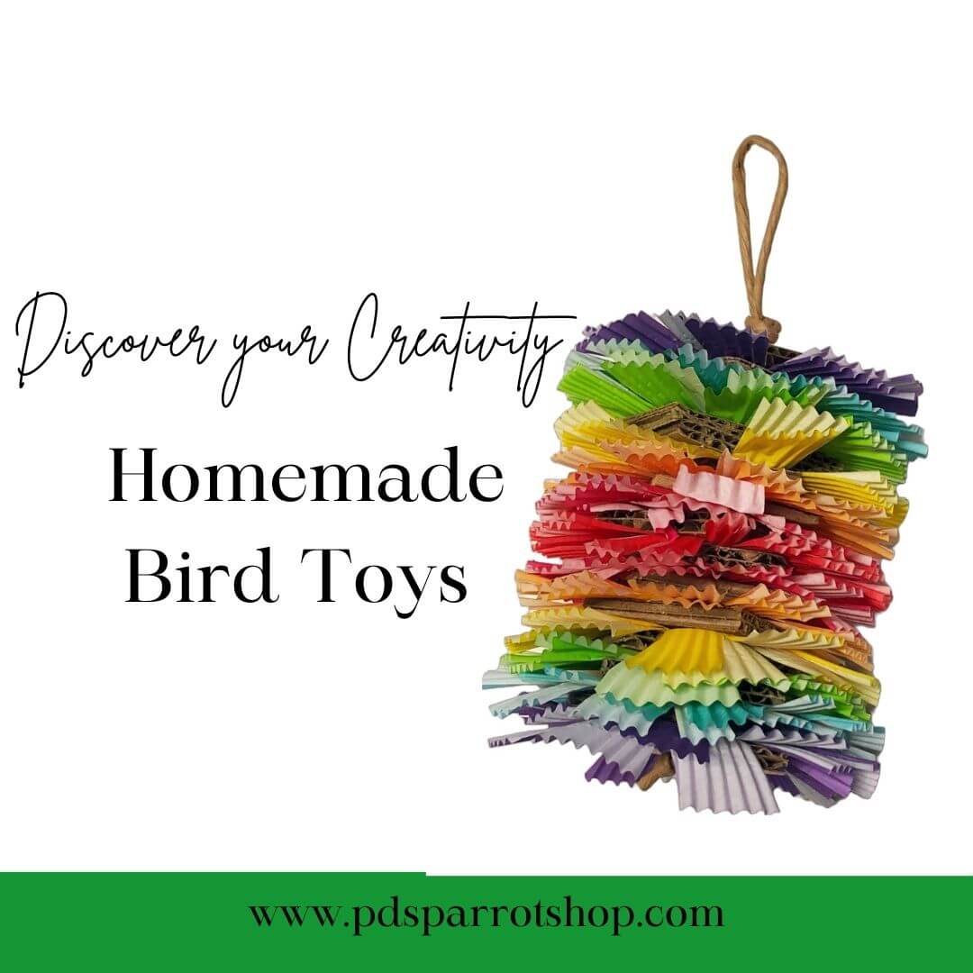 Text; DIY delights: creating homemade bird toys