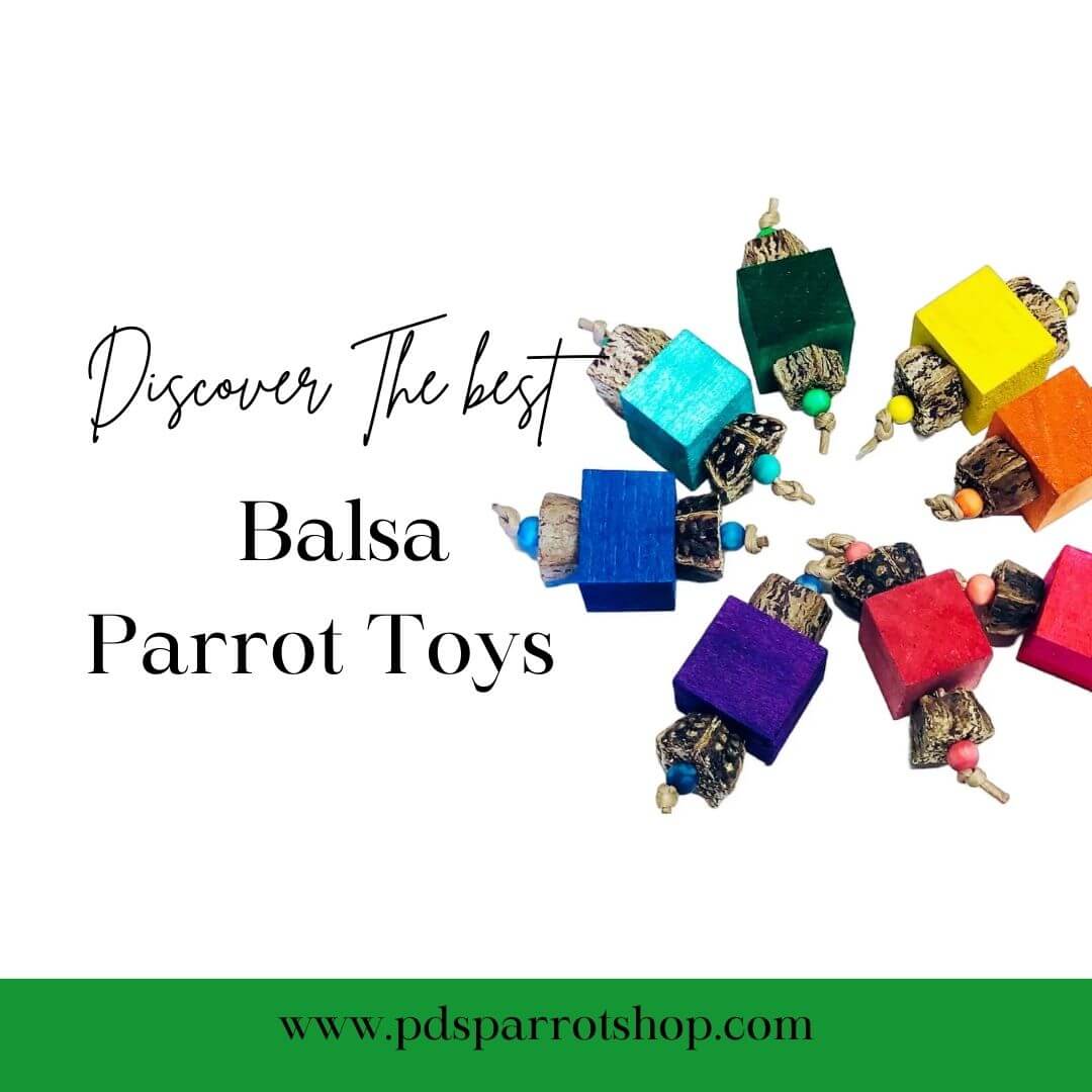 balsa wood parrot toys guide 