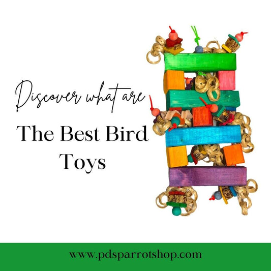 What are the best bird toys (colorful parrot toy)