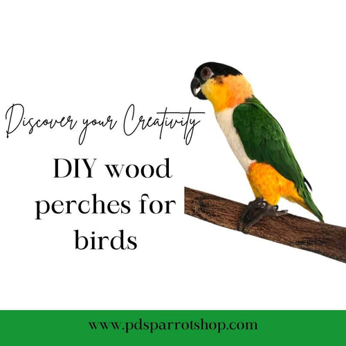 DIY perches for birds