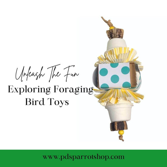 unleash the fun with foraging bird toys