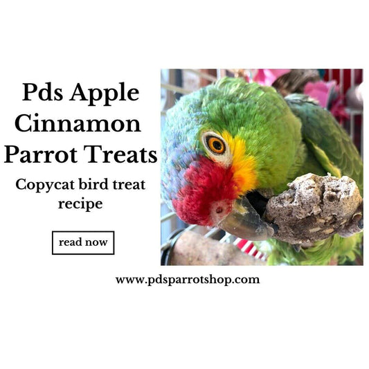 PDS Apple Cinnamon Parrot Treats