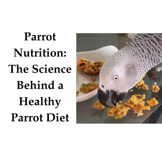 Parrot Nutrition: This Science Behind a Healthy Parrot Diet