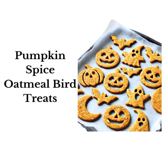 Pumpkin Spice Oatmeal Bird Treats