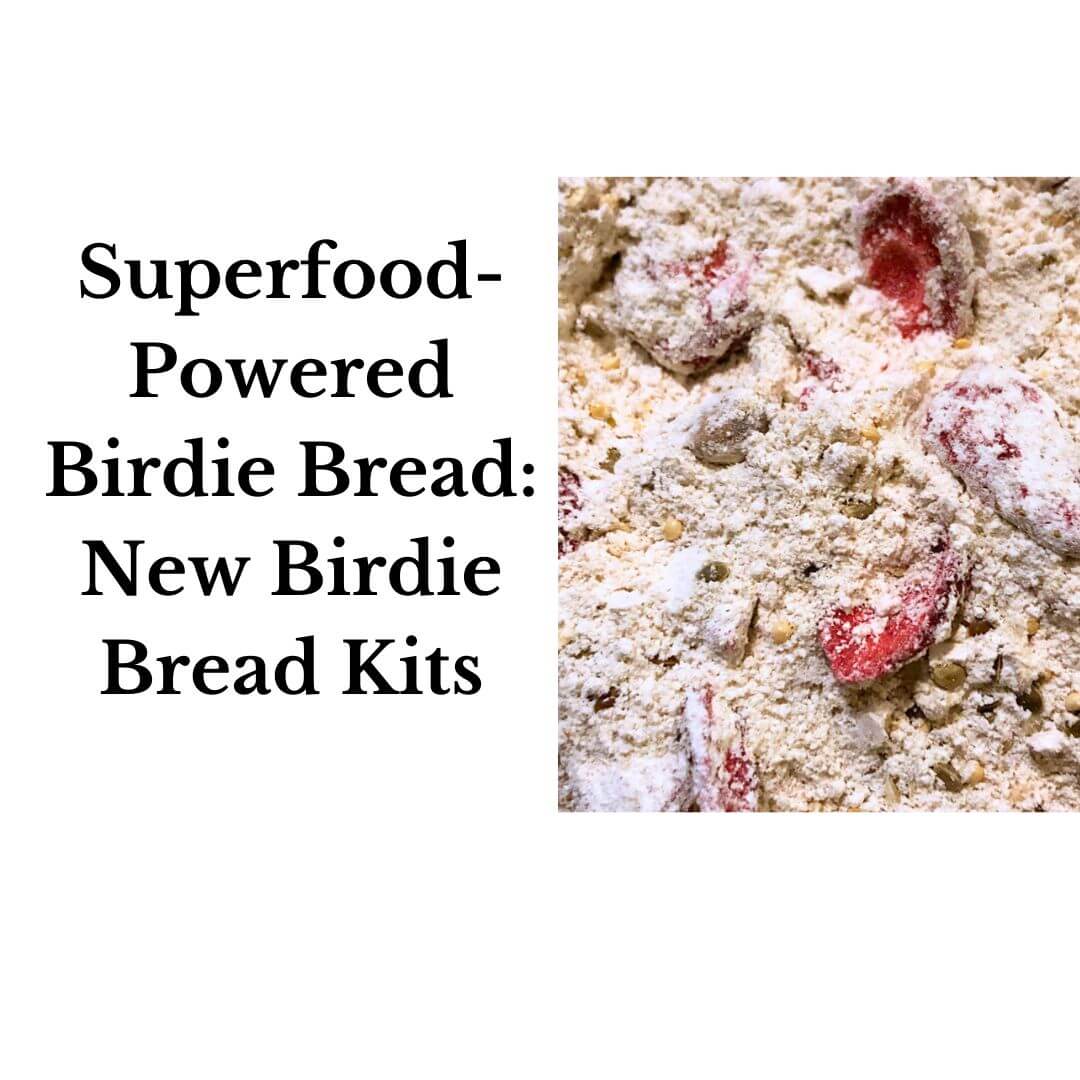 Superfood-Powered Birdie Bread: New Birdie Bread Kits