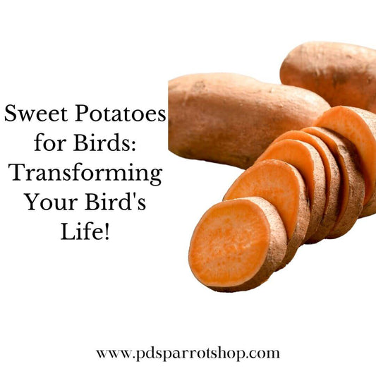 Sweet Potatoes for Birds: Transforming Your Bird's Life!