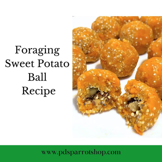 Foraging sweet potato ball recipe