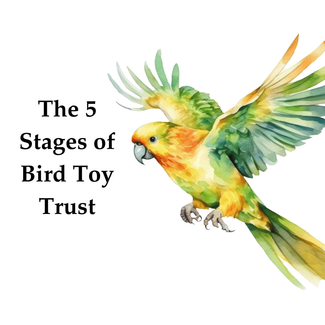 The 5 stages of toy trust