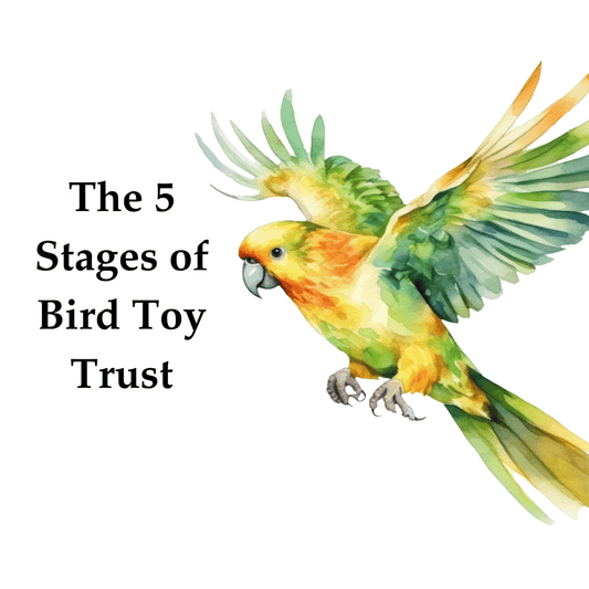 The 5 stages of toy trust