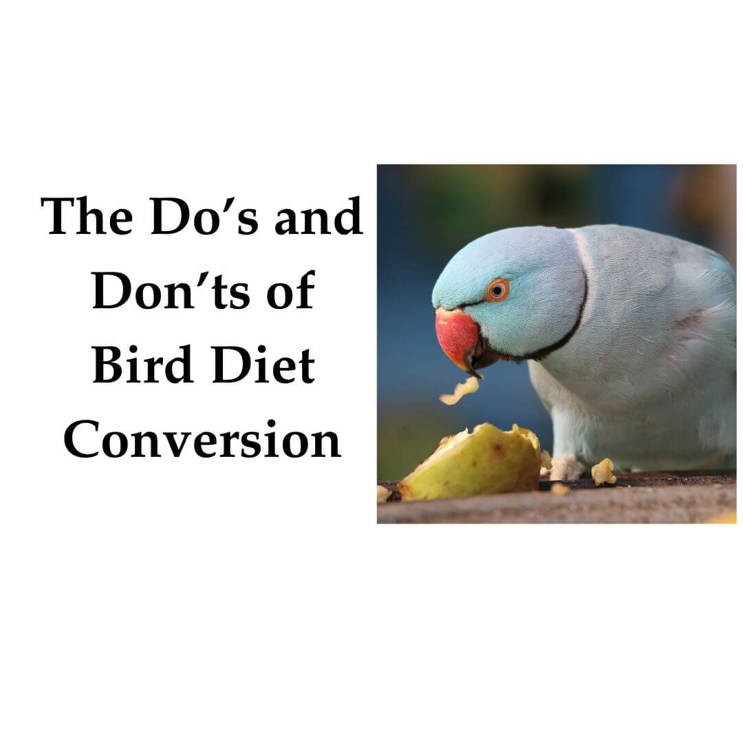 Bird Diet Conversion