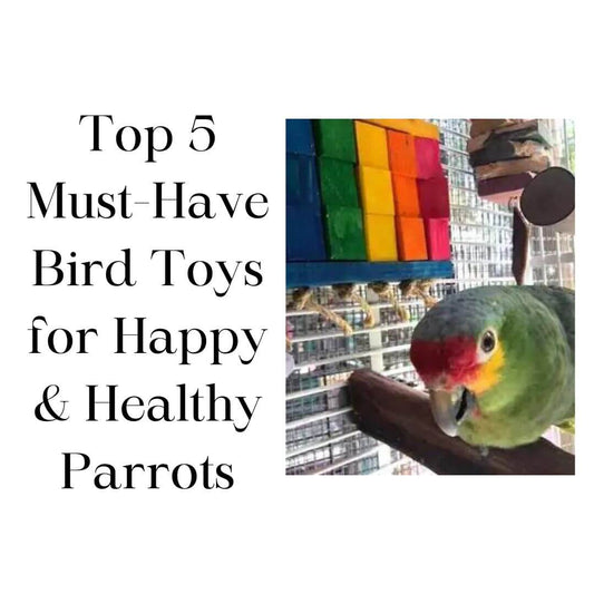 Top 5 Must-Have Bird Toys for Happy & Healthy Parrots