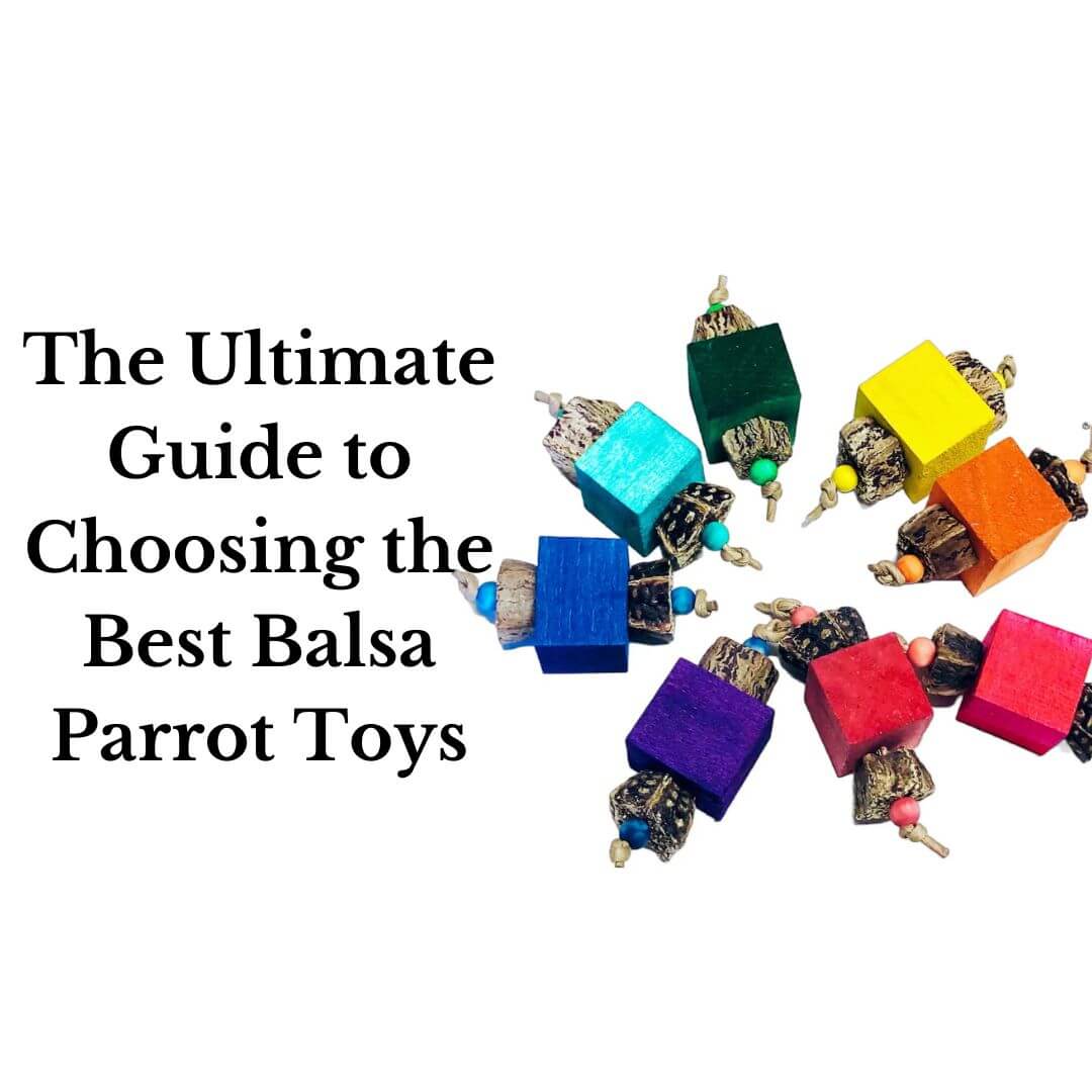 balsa wood parrot toys guide 