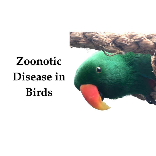 Zoonotic Disease in Birds