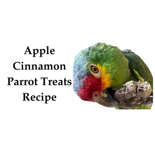 apple cinnamon parrot treats recipe