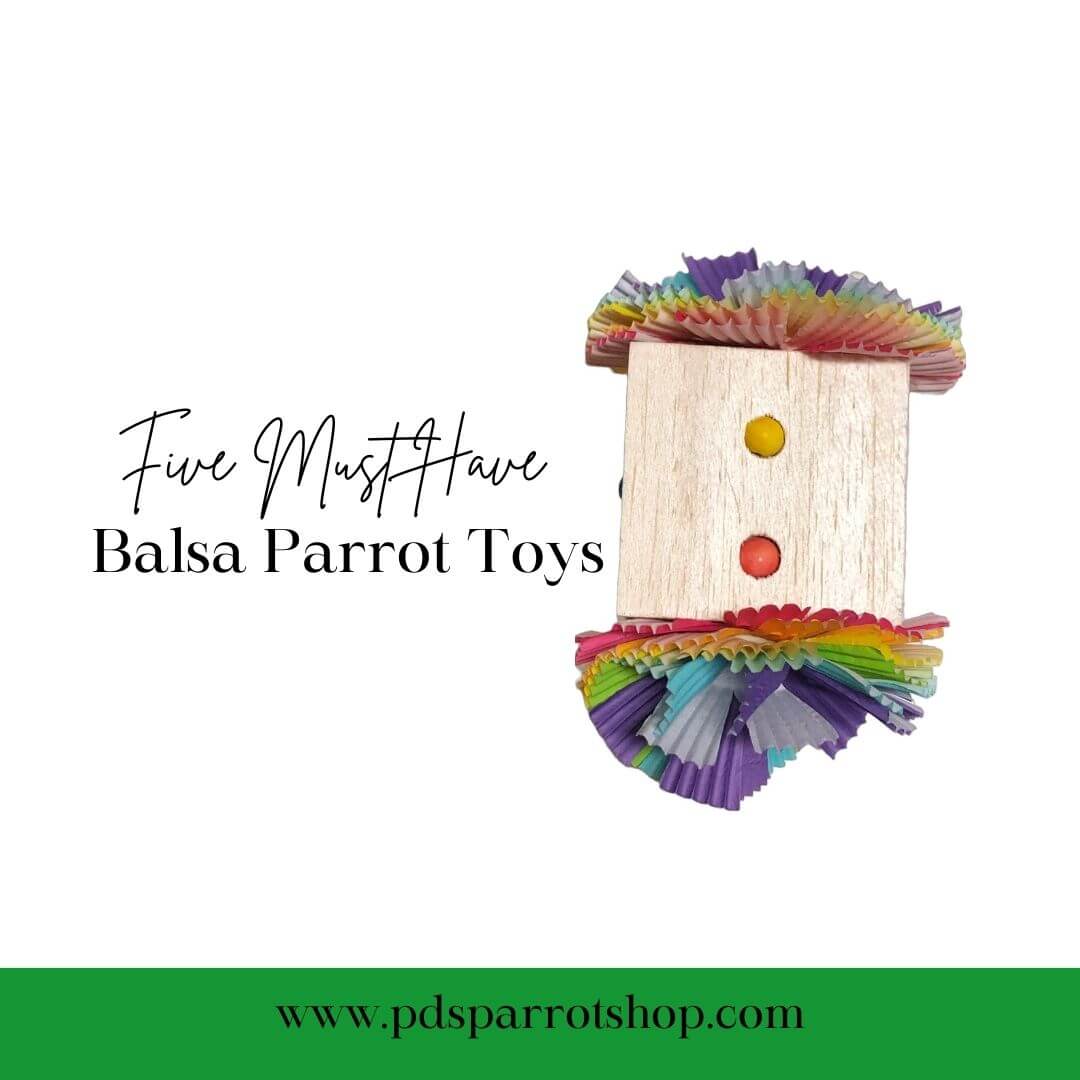 balsa dice bird toy with title 