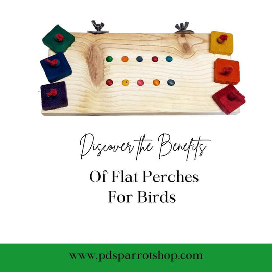 mini flat bird perches with wood blocks