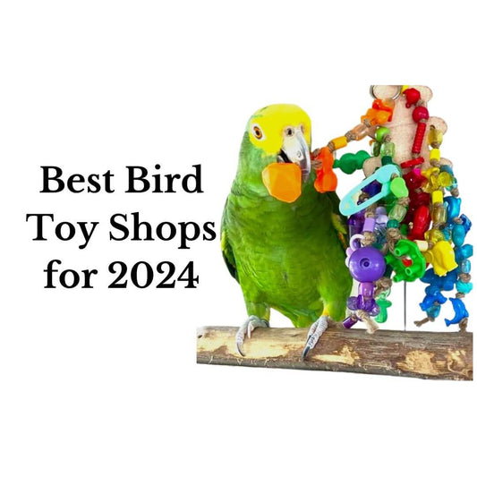 best bird toy shops of 2023 image of amazon playing with toys