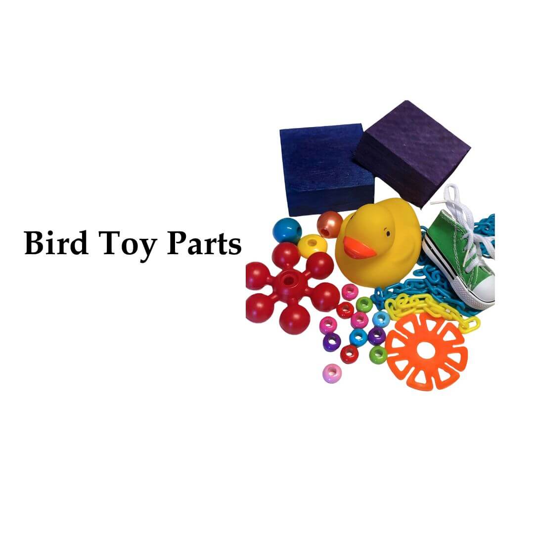 bird toy parts