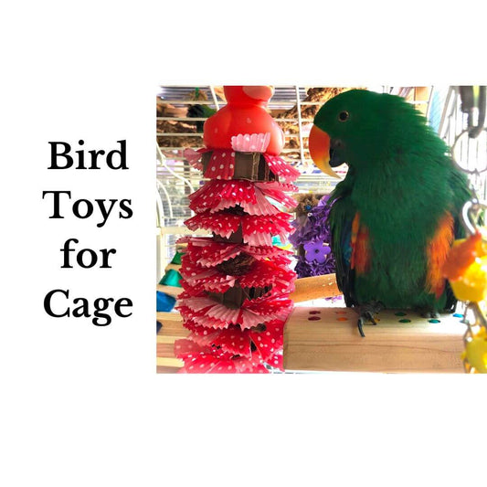 bird toys for cage