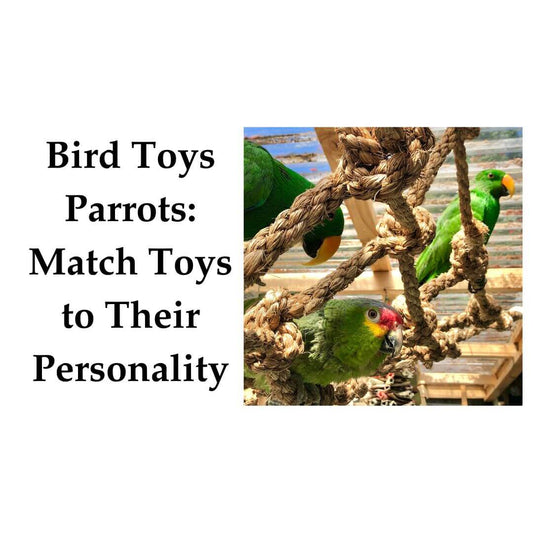 bird toys parrots