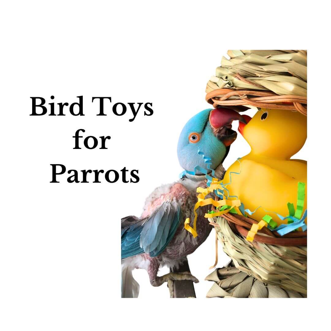 bird toys for parrots