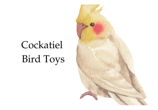 Cockatiel Bird Toys
