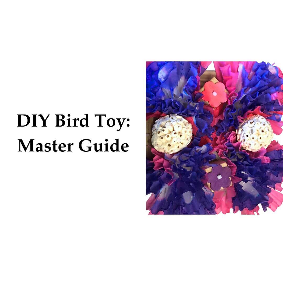 DIY Bird Toys