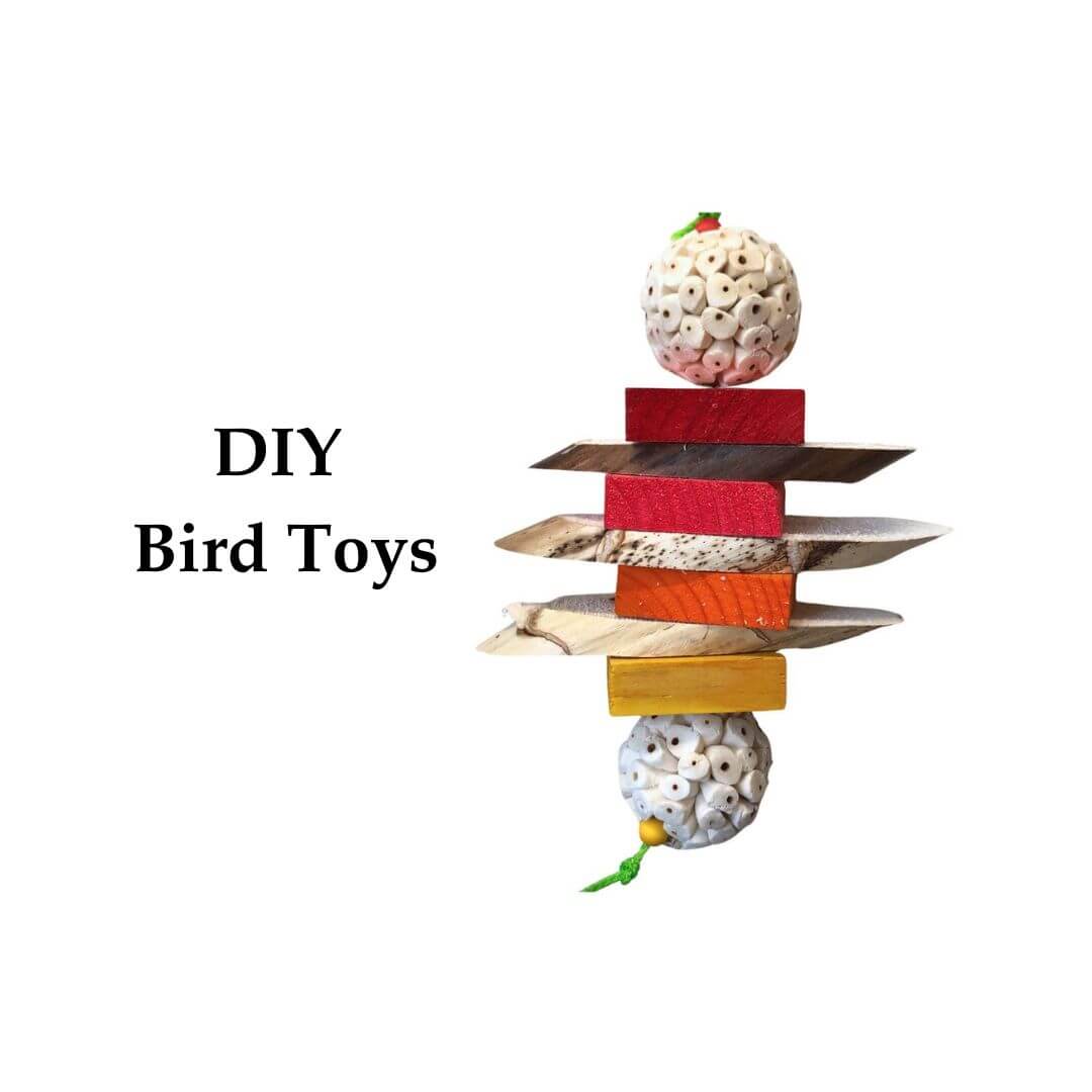 DIY bird toys