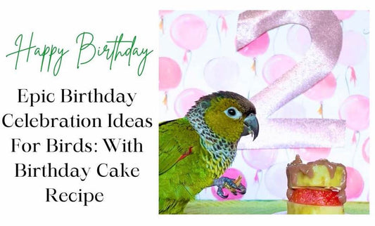 Epic birthday celebration
