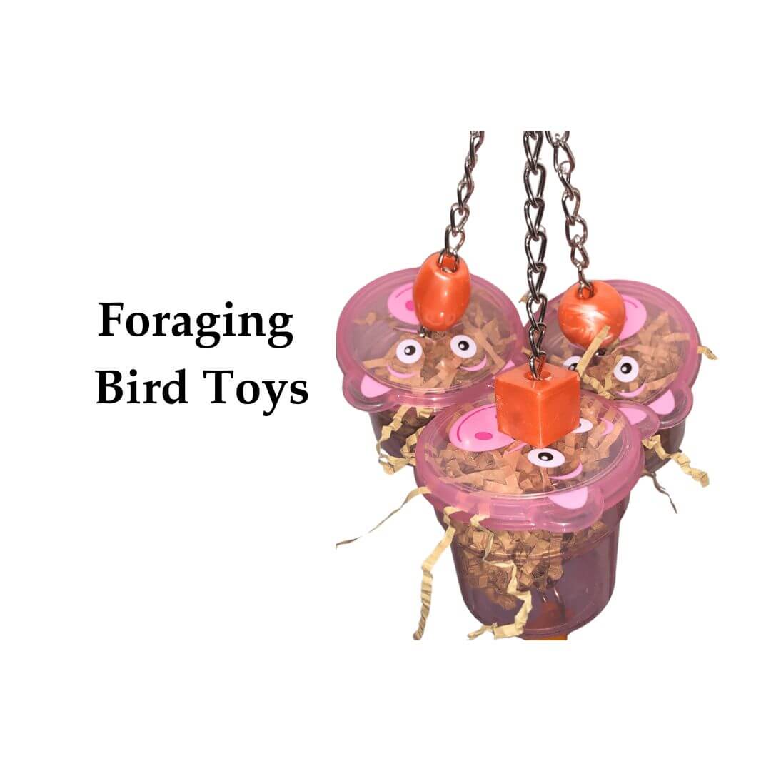 Foraging bird toys