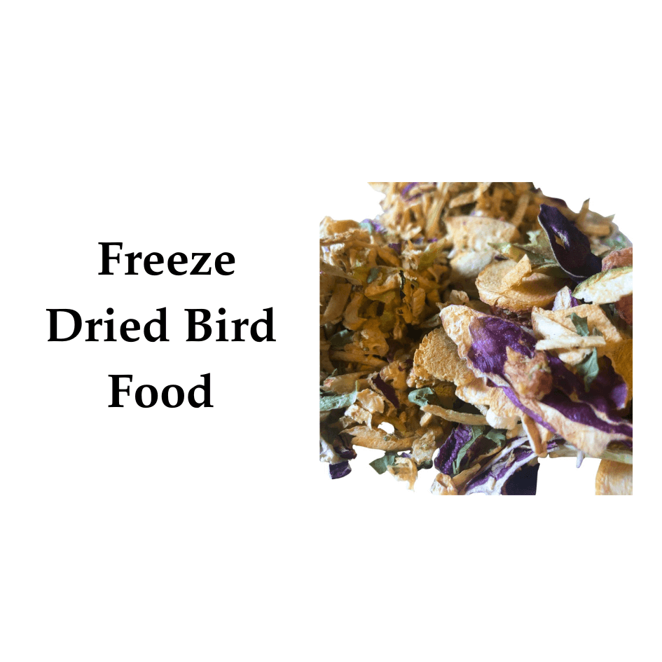 Everything You Need to Know About Freeze Dried Bird Food