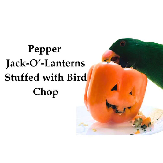 Halloween Bird Chop: Fun and Festive Recipes for Your Parrot