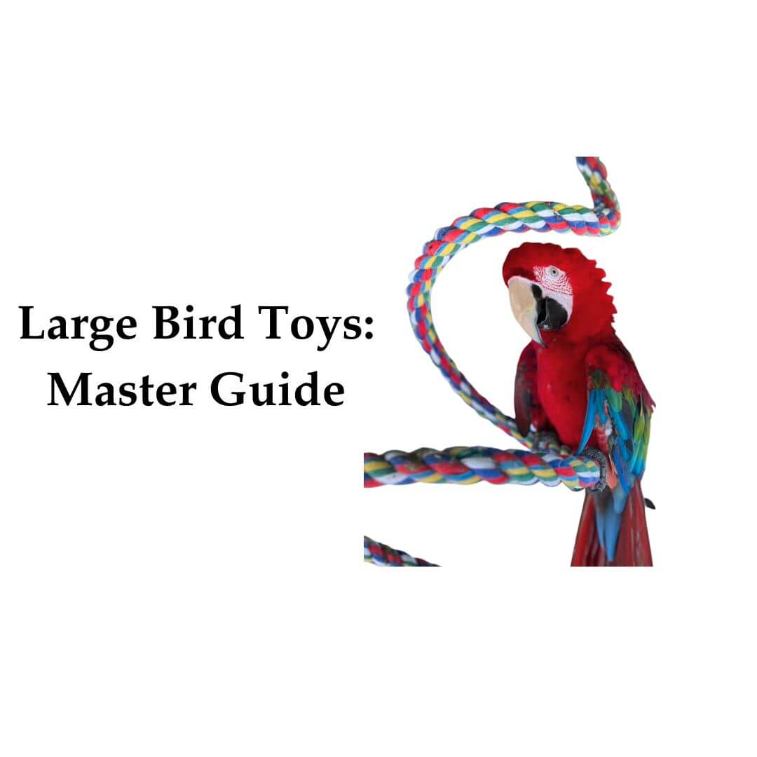 large bird toys