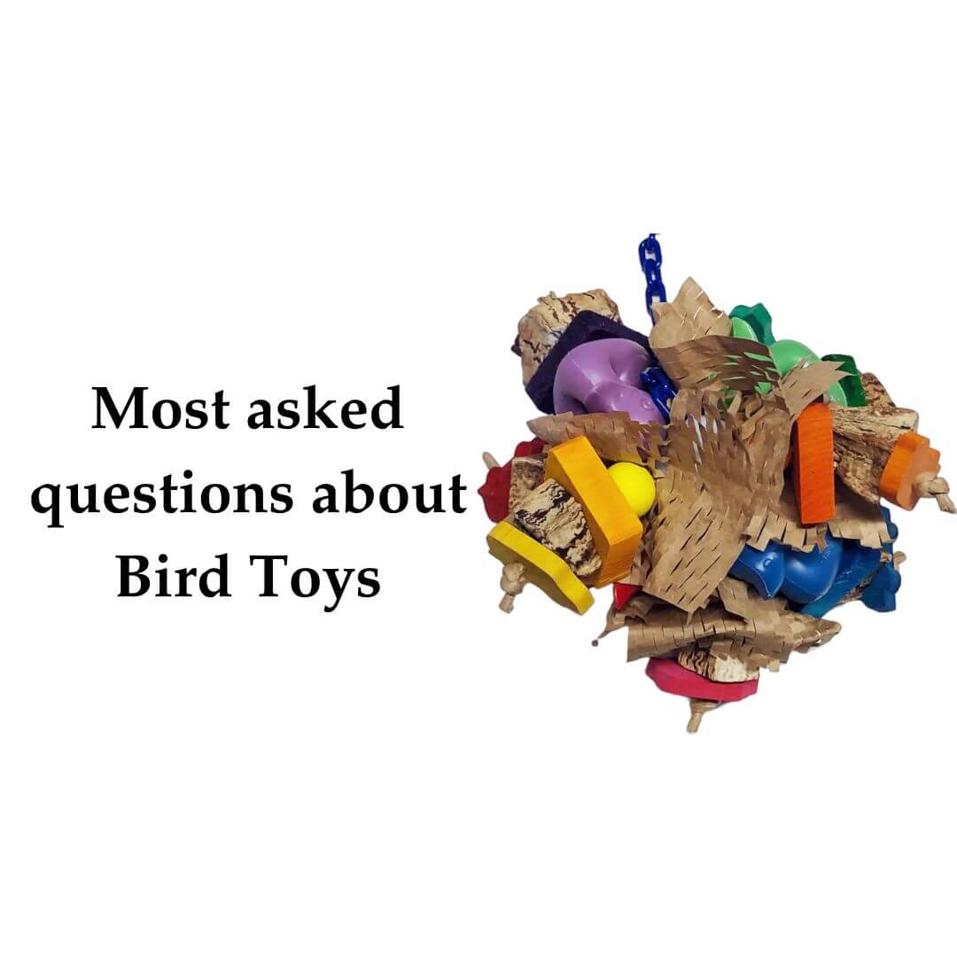 Most asked questions about bird toys