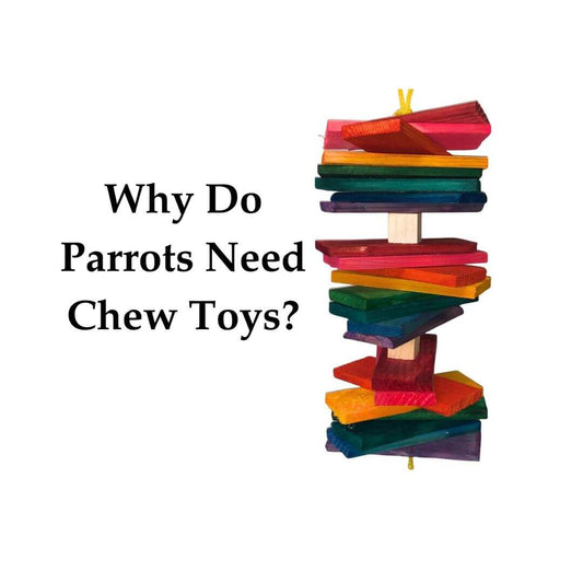 parrot chew toys