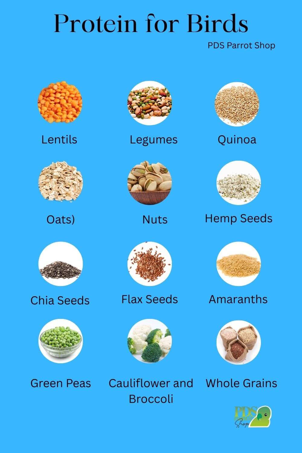 high protein for birds