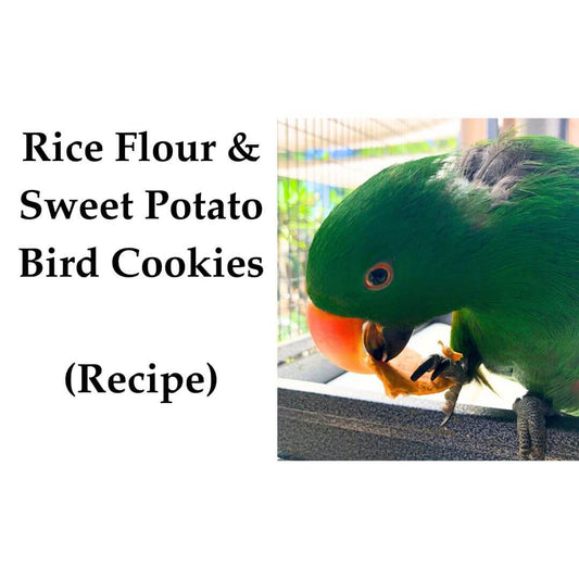 Rice Flour & Sweet Potato Bird Cookies