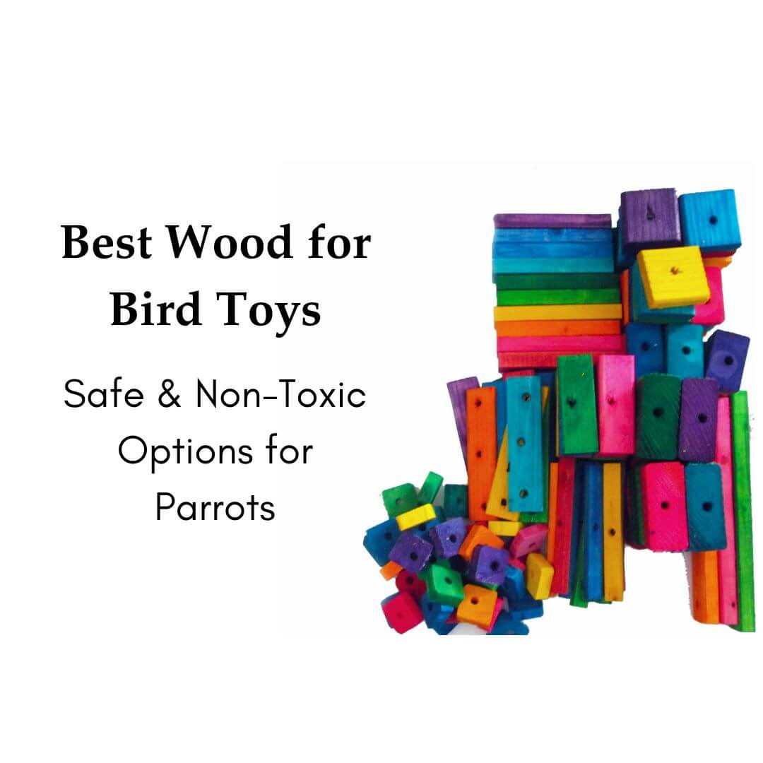 wood for bird toys