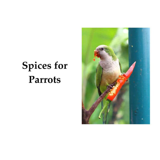 spices for birds