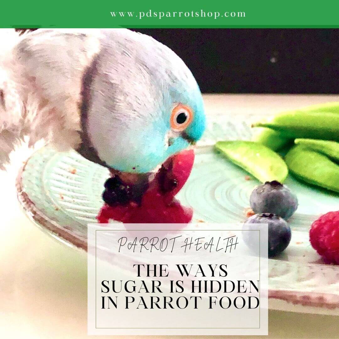 sugar hidden in parrot food