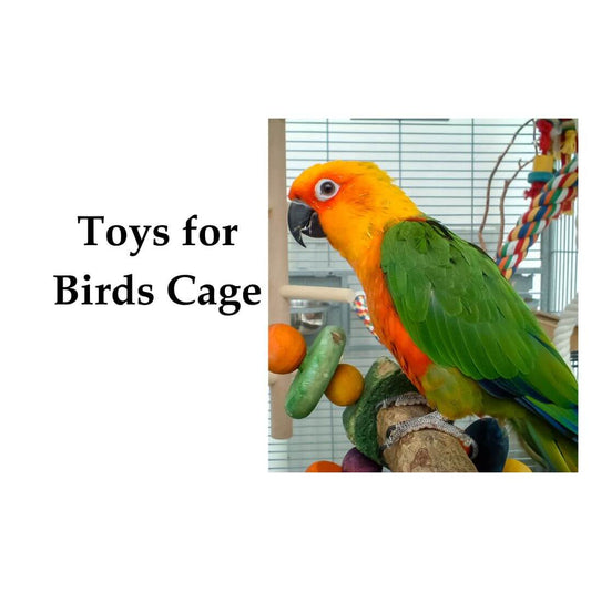 toys for birds cage