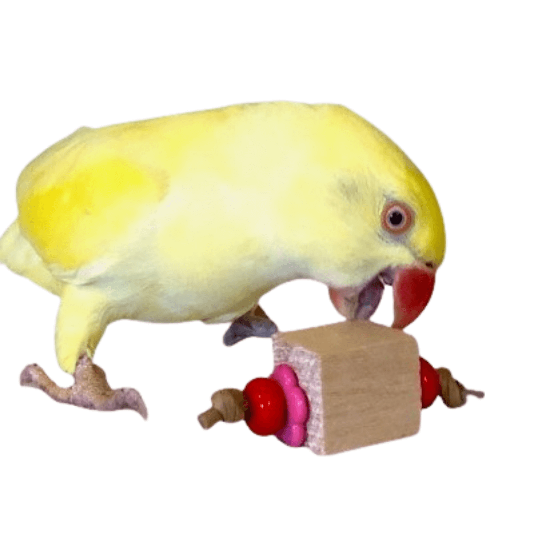 small bird toys