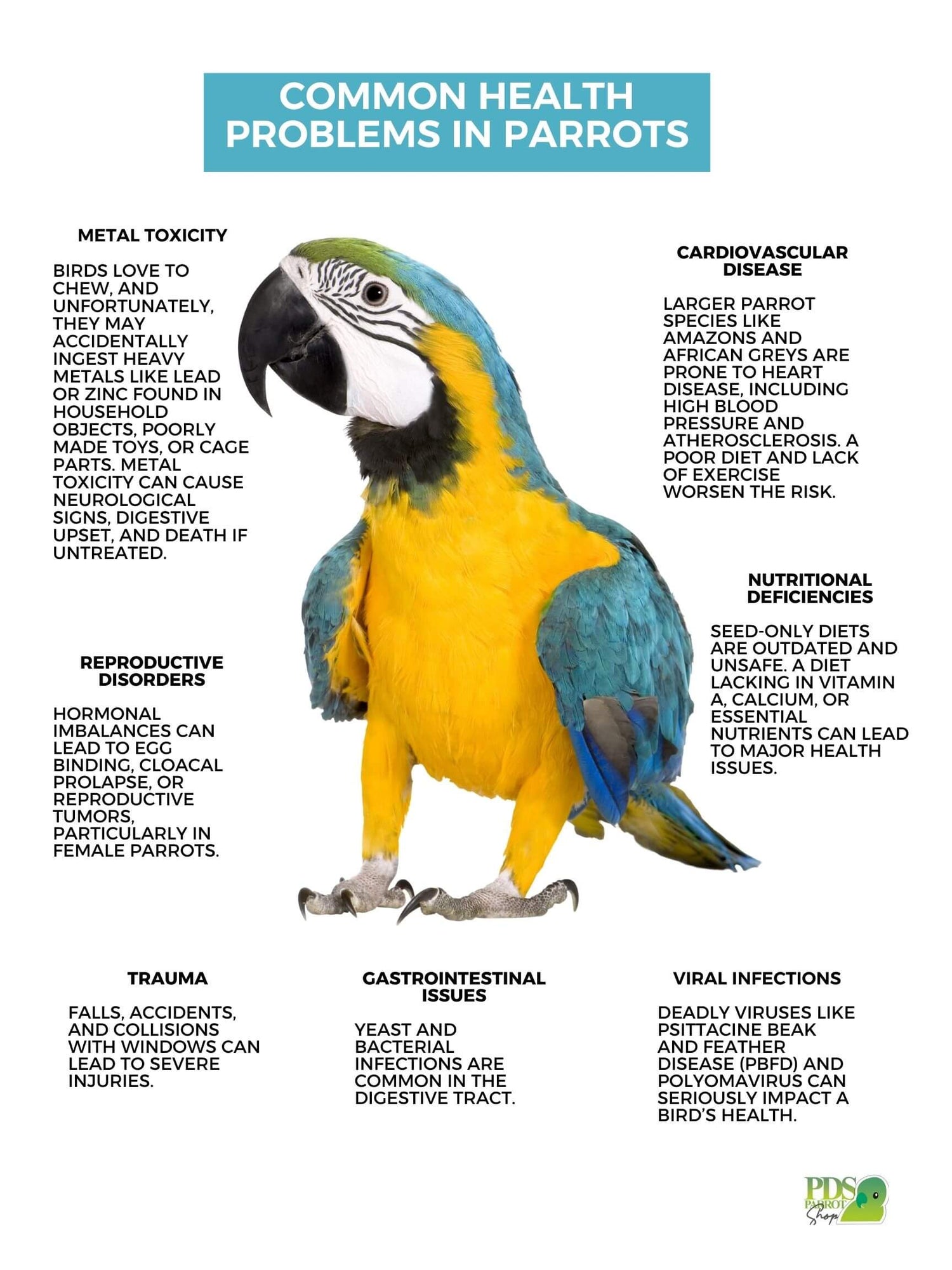 Pet Bird Care