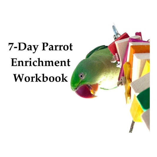 Colorful parrot with a 7-Day Parrot Enrichment Workbook on a white background