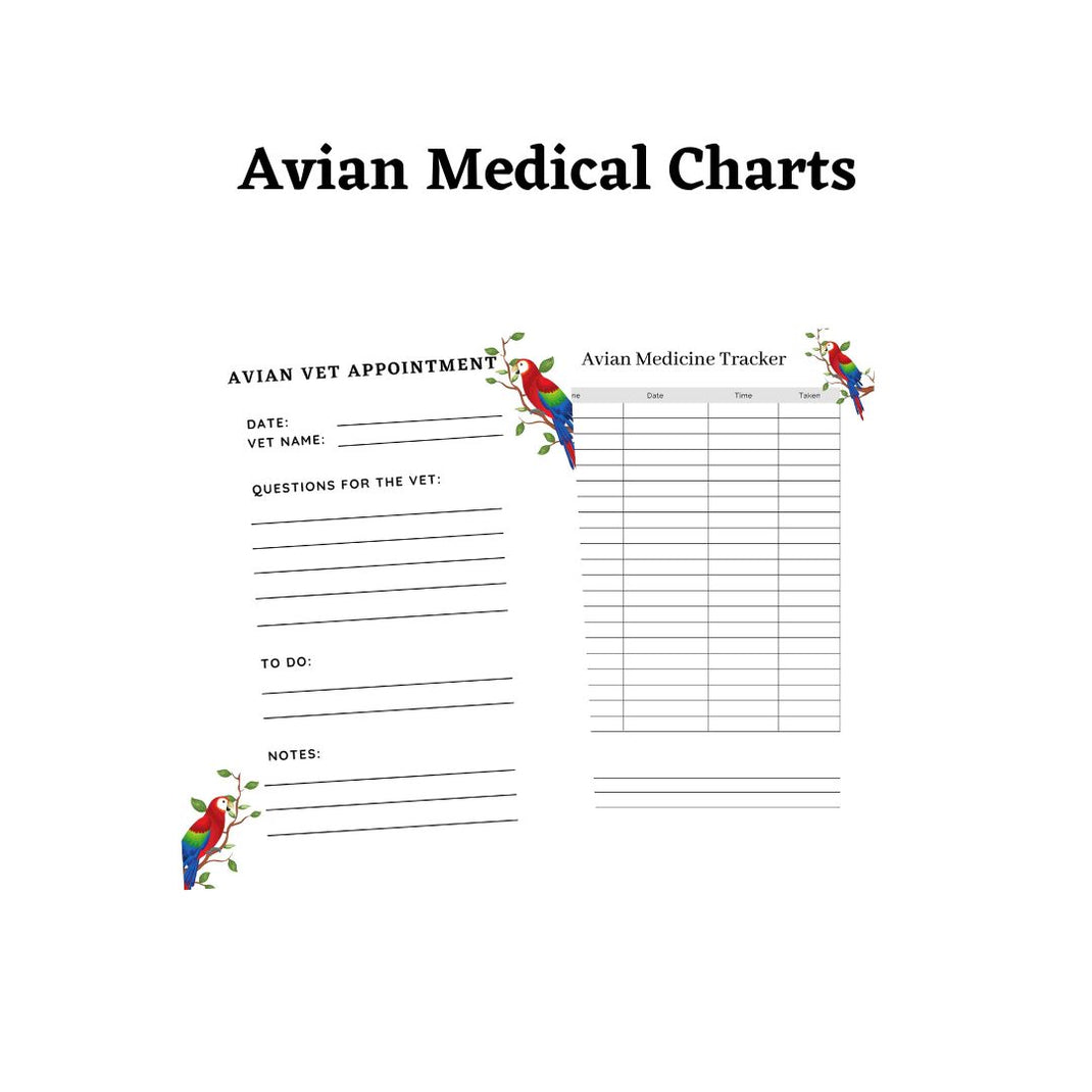 Free Downloads | PDS Parrot Shop