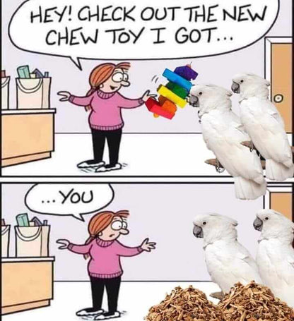 bird toy meme with toy made from pds parrot shop
