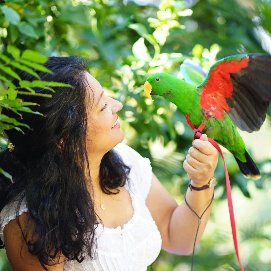 Woman holding a green parrot with red accents in a lush green setting