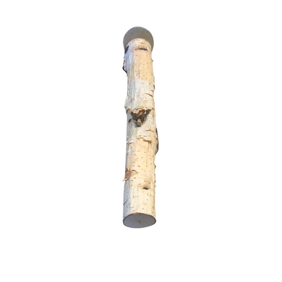 Birch Large